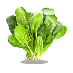 Espinaca, materia prima de este polvo